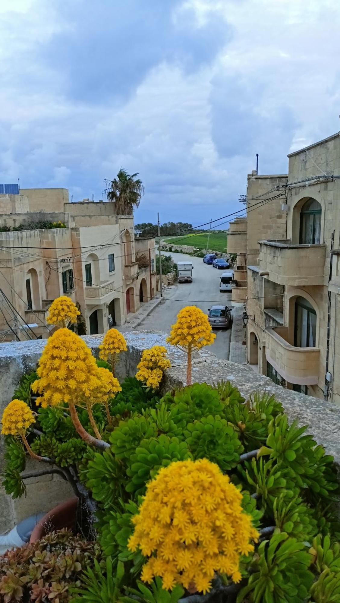 Arthome - Guest Rooms Gharb  Bagian luar foto